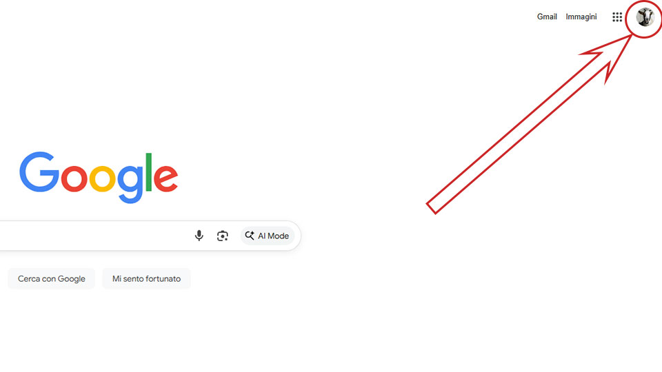 screenshot Google Chrome
