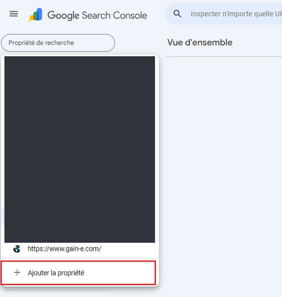 screenshot Google Search Console